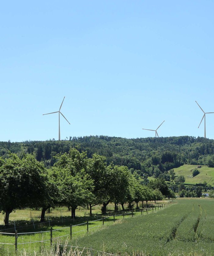 Windenergie für den Thurgau