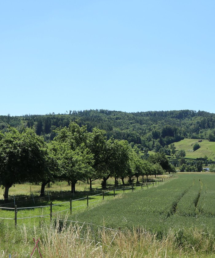 Windenergie für den Thurgau